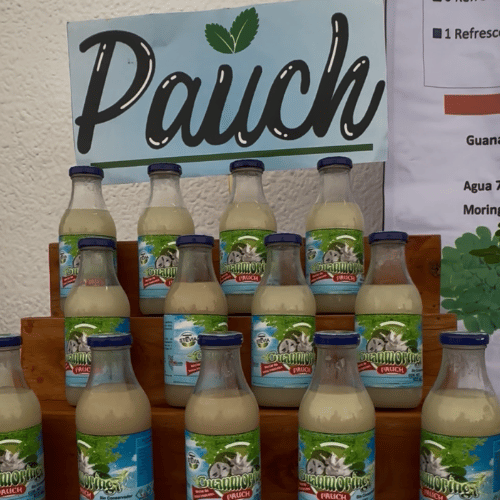 Estudiantes de Simojovel crean «PAUCH», una bebida natural chiapaneca para combatir la mala alimentación
