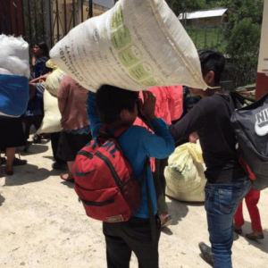 La otra infancia : Trabajo infantil: la economía de la desesperación en campos y cruceros